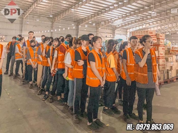 Cung ứng nhân lực, thuê lao động - Nhân Lực Đông Phú Tiên - Công Ty TNHH Đông Phú Tiên